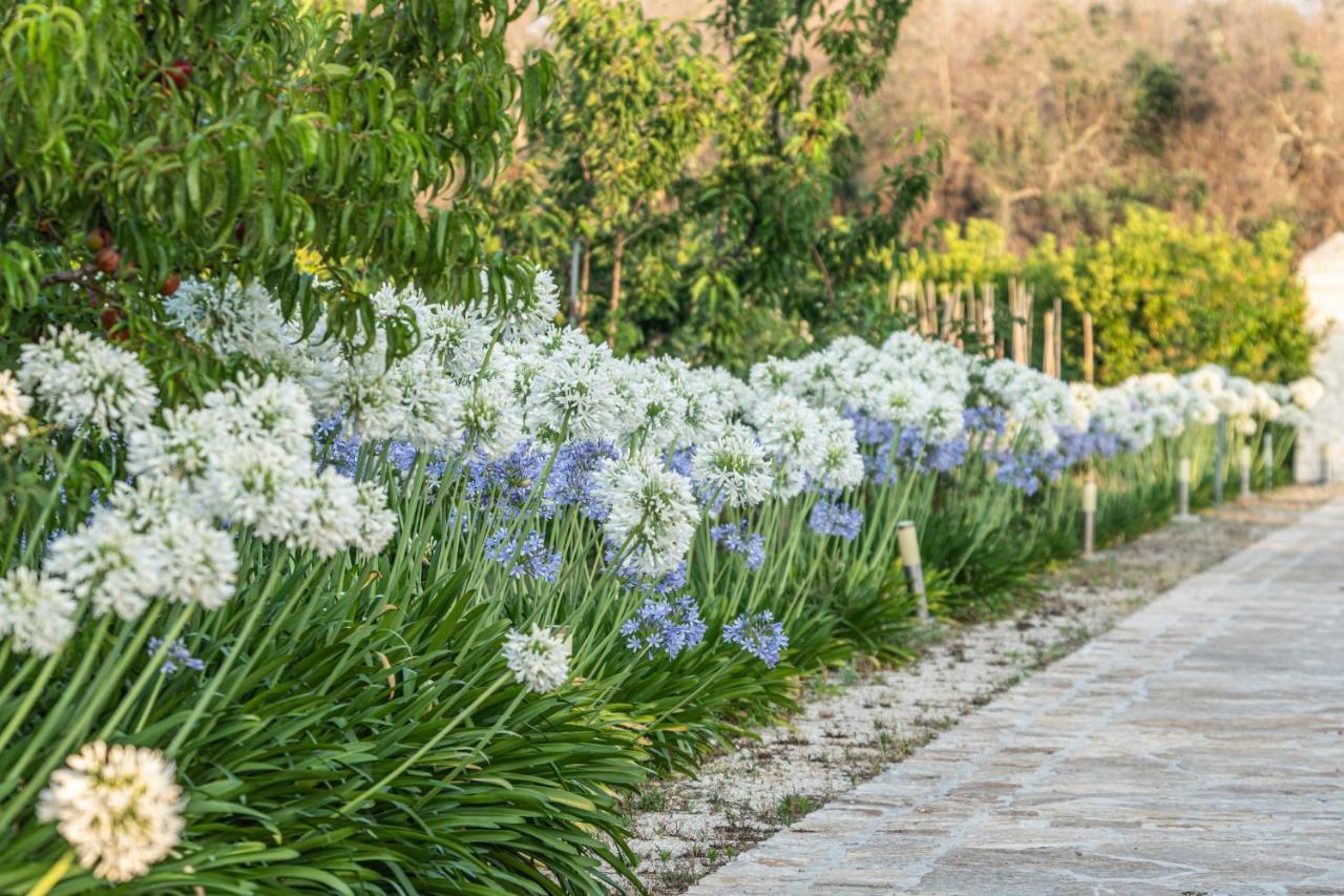 Agriturismo Panacea Santa Cesarea Terme Exteriér fotografie